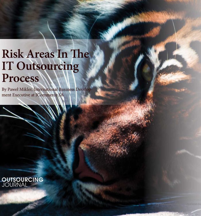 Risk areas in the IT outsourcing process