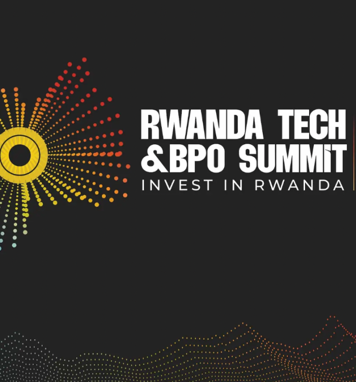 German-Rwandan IT & Business Services Summit 2024