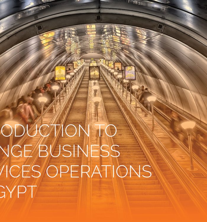 Introduction to Orange Business Services Operations in Egypt