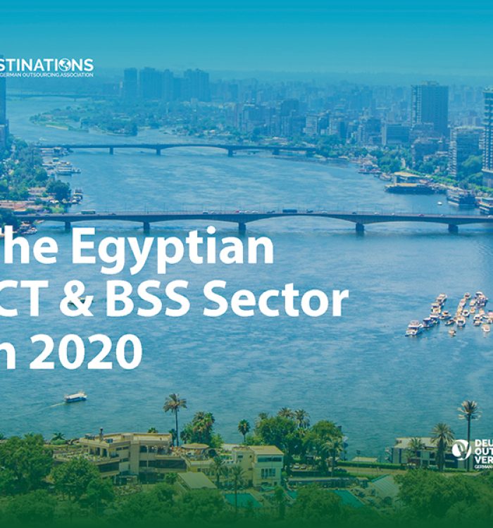 The Egyptian ICT & BSS Industry